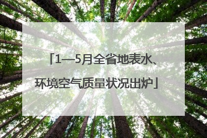 1—5月全省地表水、环境空气质量状况出炉