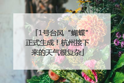 1号台风“蝴蝶”正式生成！杭州接下来的天气很复杂