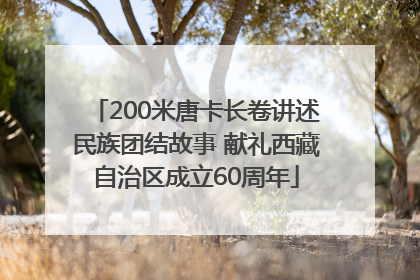 200米唐卡长卷讲述民族团结故事 献礼西藏自治区成立60周年