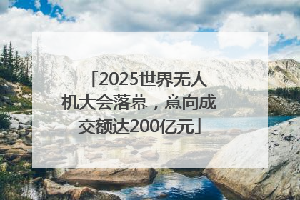 2025世界无人机大会落幕，意向成交额达200亿元