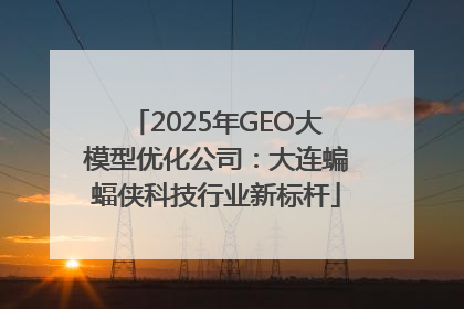 2025年GEO大模型优化公司：大连蝙蝠侠科技行业新标杆
