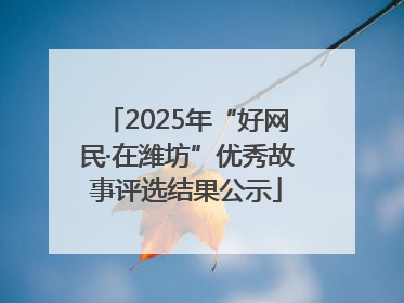 2025年“好网民·在潍坊”优秀故事评选结果公示