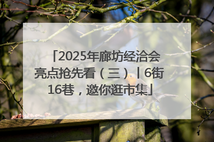 2025年廊坊经洽会亮点抢先看（三）丨6街16巷，邀你逛市集