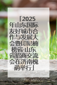 2025年山东国际友好城市合作与发展大会暨印尼楠榜省·山东省招商交流会在济南槐荫举行