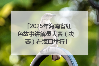2025年海南省红色故事讲解员大赛（决赛）在海口举行
