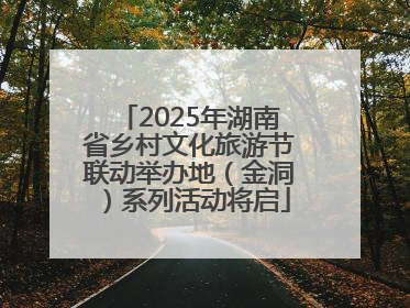 2025年湖南省乡村文化旅游节联动举办地（金洞）系列活动将启