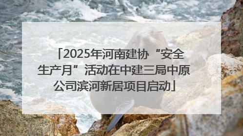 2025年河南建协“安全生产月”活动在中建三局中原公司滨河新居项目启动