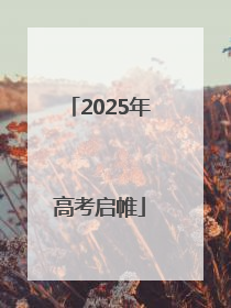 2025年高考启帷