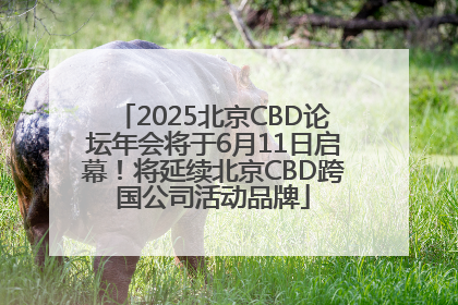 2025北京CBD论坛年会将于6月11日启幕！将延续北京CBD跨国公司活动品牌