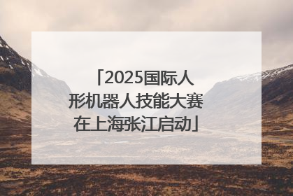 2025国际人形机器人技能大赛在上海张江启动