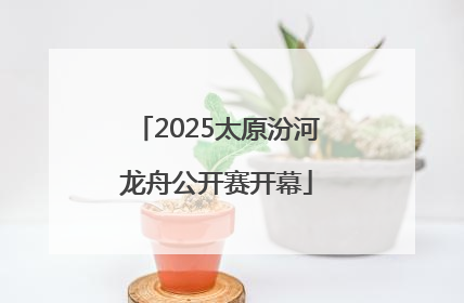 2025太原汾河龙舟公开赛开幕