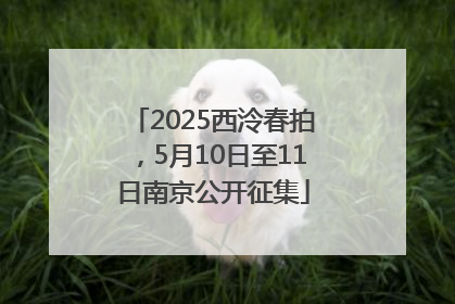 2025西泠春拍，5月10日至11日南京公开征集