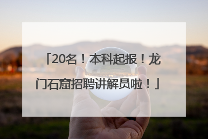 20名！本科起报！龙门石窟招聘讲解员啦！