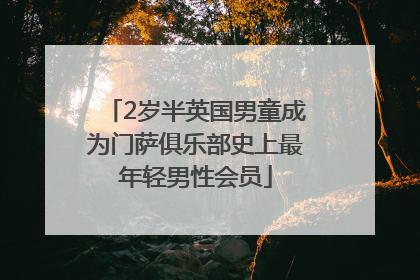 2岁半英国男童成为门萨俱乐部史上最年轻男性会员