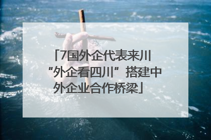 7国外企代表来川 “外企看四川”搭建中外企业合作桥梁