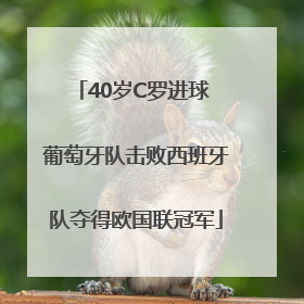 40岁C罗进球 葡萄牙队击败西班牙队夺得欧国联冠军
