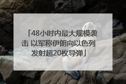 48小时内最大规模袭击 以军称伊朗向以色列发射超20枚导弹