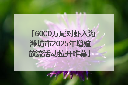 6000万尾对虾入海 潍坊市2025年增殖放流活动拉开帷幕