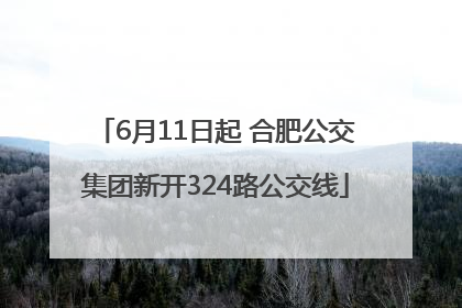 6月11日起 合肥公交集团新开324路公交线