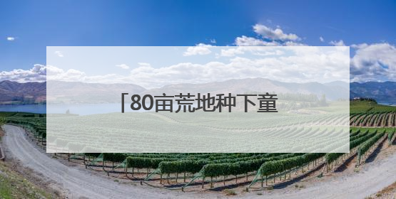 80亩荒地种下童话,珠海这对夫妻“为了家乡我愿意”