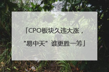 CPO板块久违大涨，“易中天”谁更胜一筹