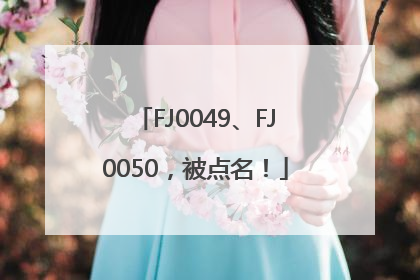 FJ0049、FJ0050，被点名！